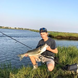 Meet your Posher, Patric